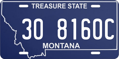 MT license plate 308160C