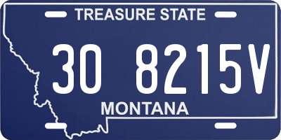 MT license plate 308215V