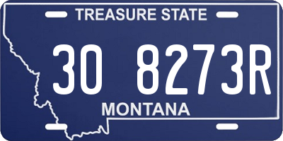 MT license plate 308273R