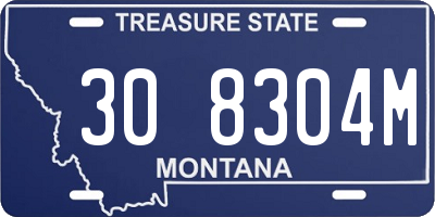 MT license plate 308304M
