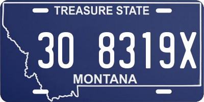 MT license plate 308319X