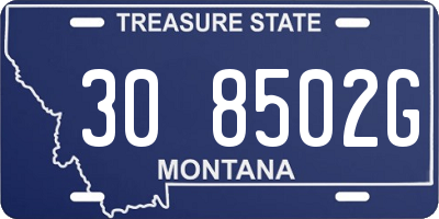 MT license plate 308502G