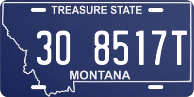 MT license plate 308517T