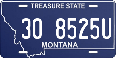 MT license plate 308525U