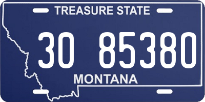 MT license plate 308538O