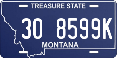 MT license plate 308599K