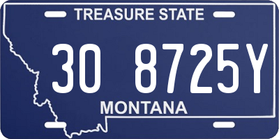 MT license plate 308725Y