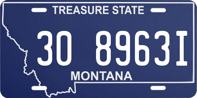 MT license plate 308963I