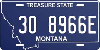 MT license plate 308966E