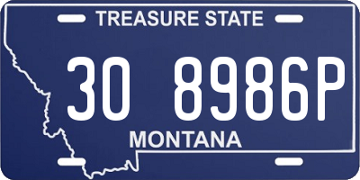 MT license plate 308986P