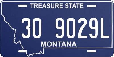 MT license plate 309029L
