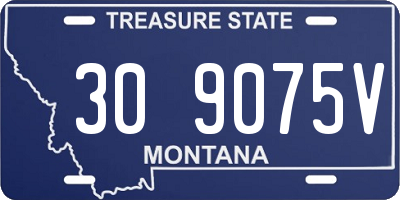 MT license plate 309075V