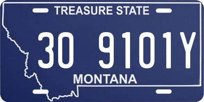 MT license plate 309101Y