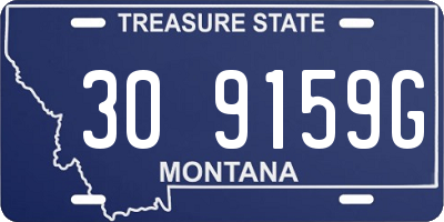 MT license plate 309159G