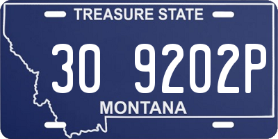 MT license plate 309202P