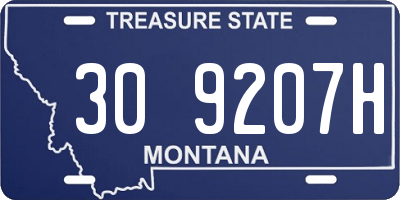 MT license plate 309207H