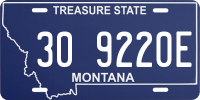 MT license plate 309220E