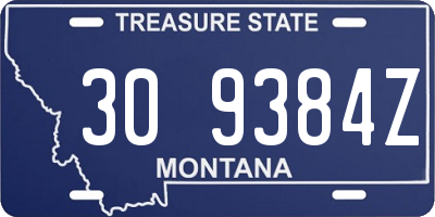 MT license plate 309384Z
