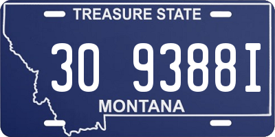 MT license plate 309388I
