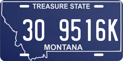 MT license plate 309516K