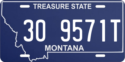 MT license plate 309571T