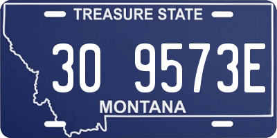 MT license plate 309573E