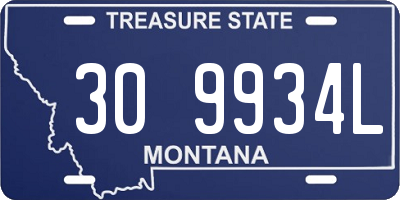 MT license plate 309934L