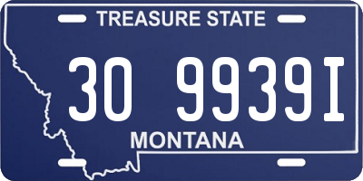 MT license plate 309939I