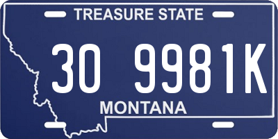 MT license plate 309981K