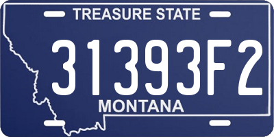 MT license plate 31393F2