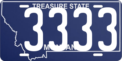 MT license plate 3333