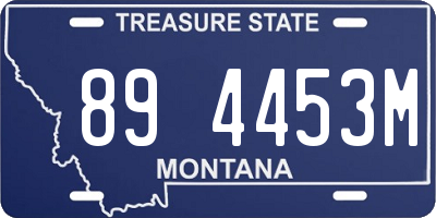 MT license plate 894453M