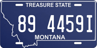 MT license plate 894459I