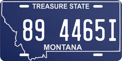 MT license plate 894465I