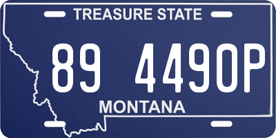 MT license plate 894490P