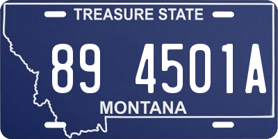 MT license plate 894501A