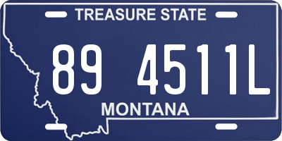 MT license plate 894511L