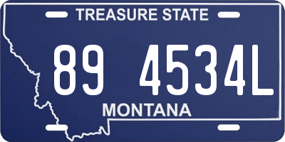 MT license plate 894534L