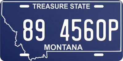 MT license plate 894560P