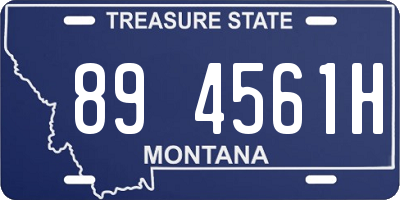 MT license plate 894561H
