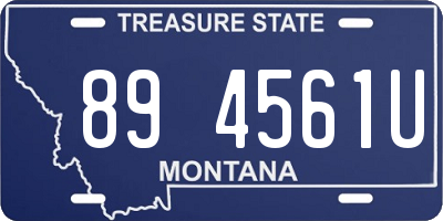 MT license plate 894561U