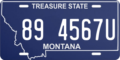 MT license plate 894567U