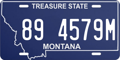 MT license plate 894579M