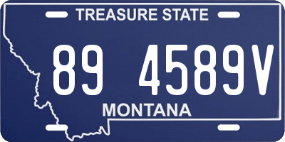 MT license plate 894589V