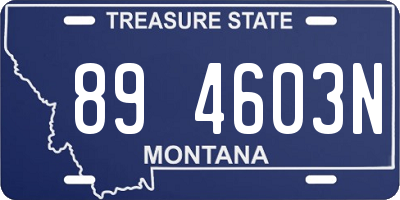 MT license plate 894603N