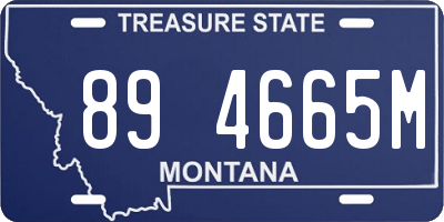 MT license plate 894665M