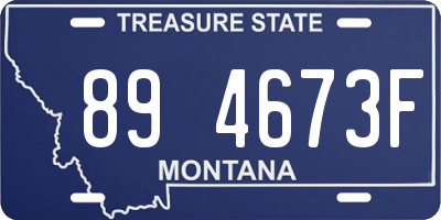 MT license plate 894673F