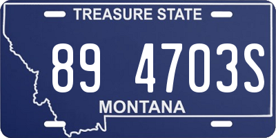 MT license plate 894703S