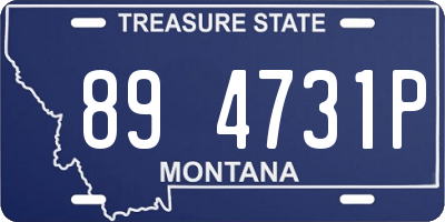 MT license plate 894731P
