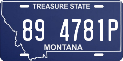 MT license plate 894781P